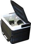 Cooler with Rear Fender Mounting Basket