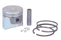 Piston and Ring Assembly 1984-91