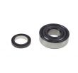 Motor Bearing and Magnet Kit