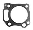 Head Gasket G22-G29