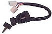 Key Switch Assembly Petrol G1